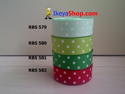 Pita RBS 579 582  large2